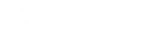 CE Consulting Logo blanco sin fondo